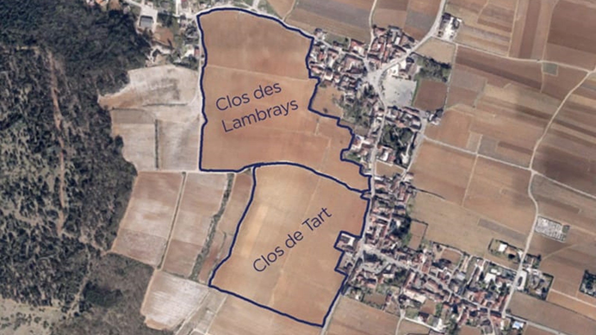 Clos des Lambrays Clos de Tart