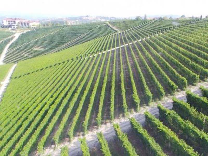 Monfortino fra Cascina Francia